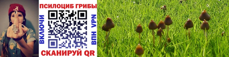 как найти наркотики  ОМГ ОМГ как войти  Псилоцибиновые грибы Cubensis  Петрозаводск 
